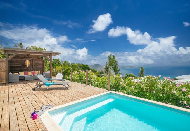Villa for rent Martinique, sea view, swimming pool