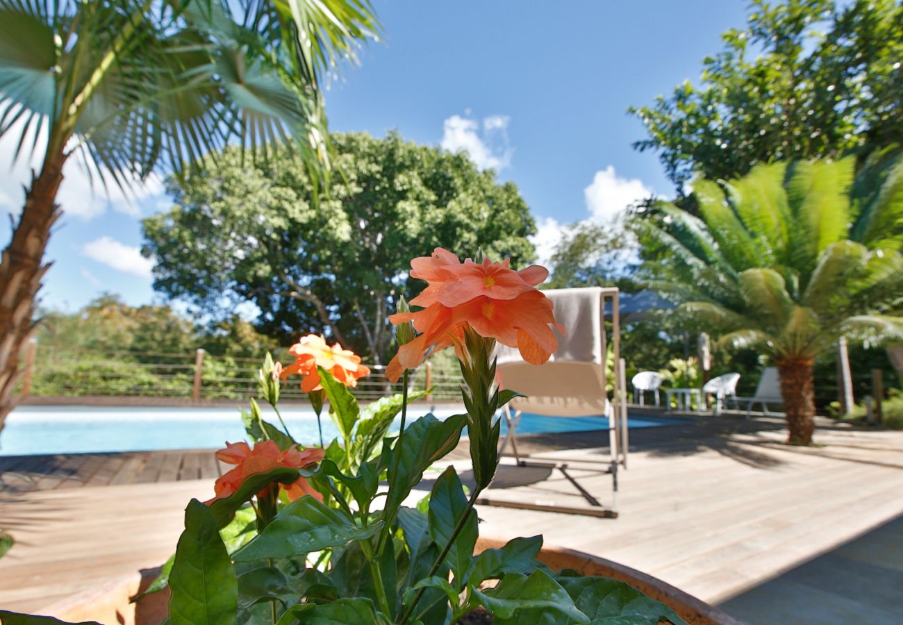 Villa in Saint-François - Palma Verde