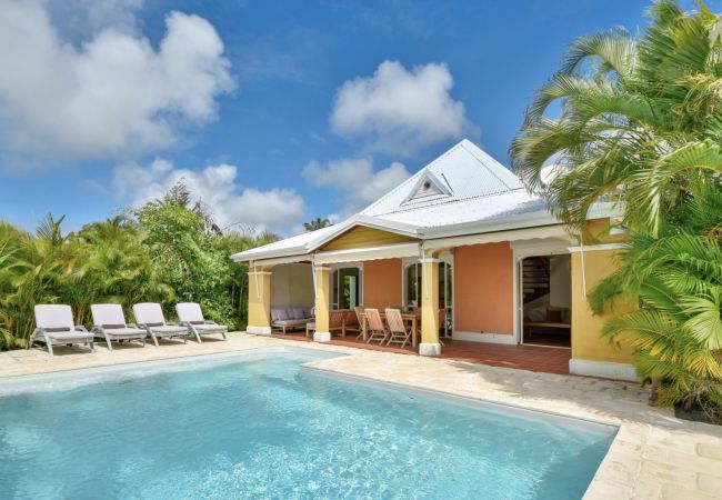 Villa rental with swimming pool and tropical garden in Saint François 