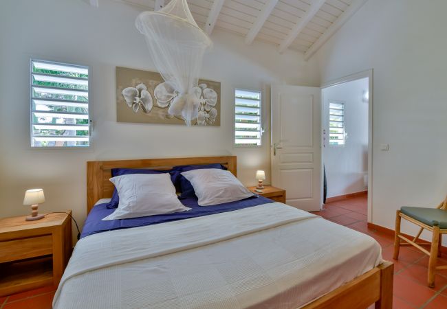 Holiday rentals in Guadeloupe for 6 people