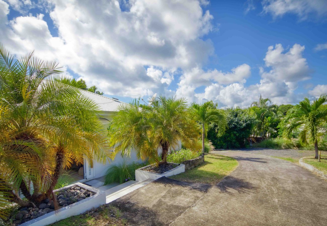 Villa in Saint-François - Avocatier