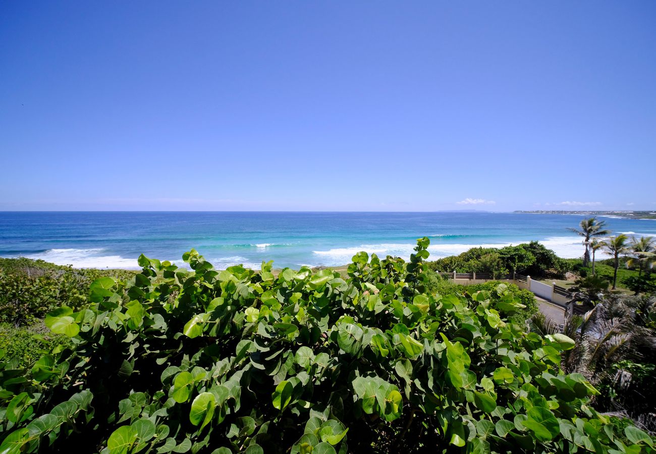 Villa rental with swimming pool facing the sea in Guadeloupe