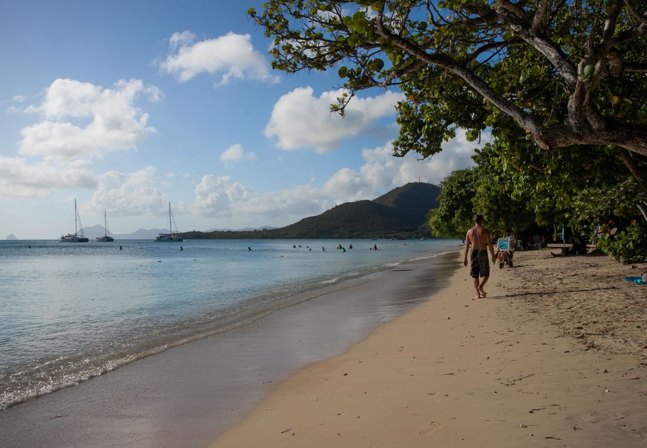 Townhouse in Sainte-Anne - Beachside Seahorse