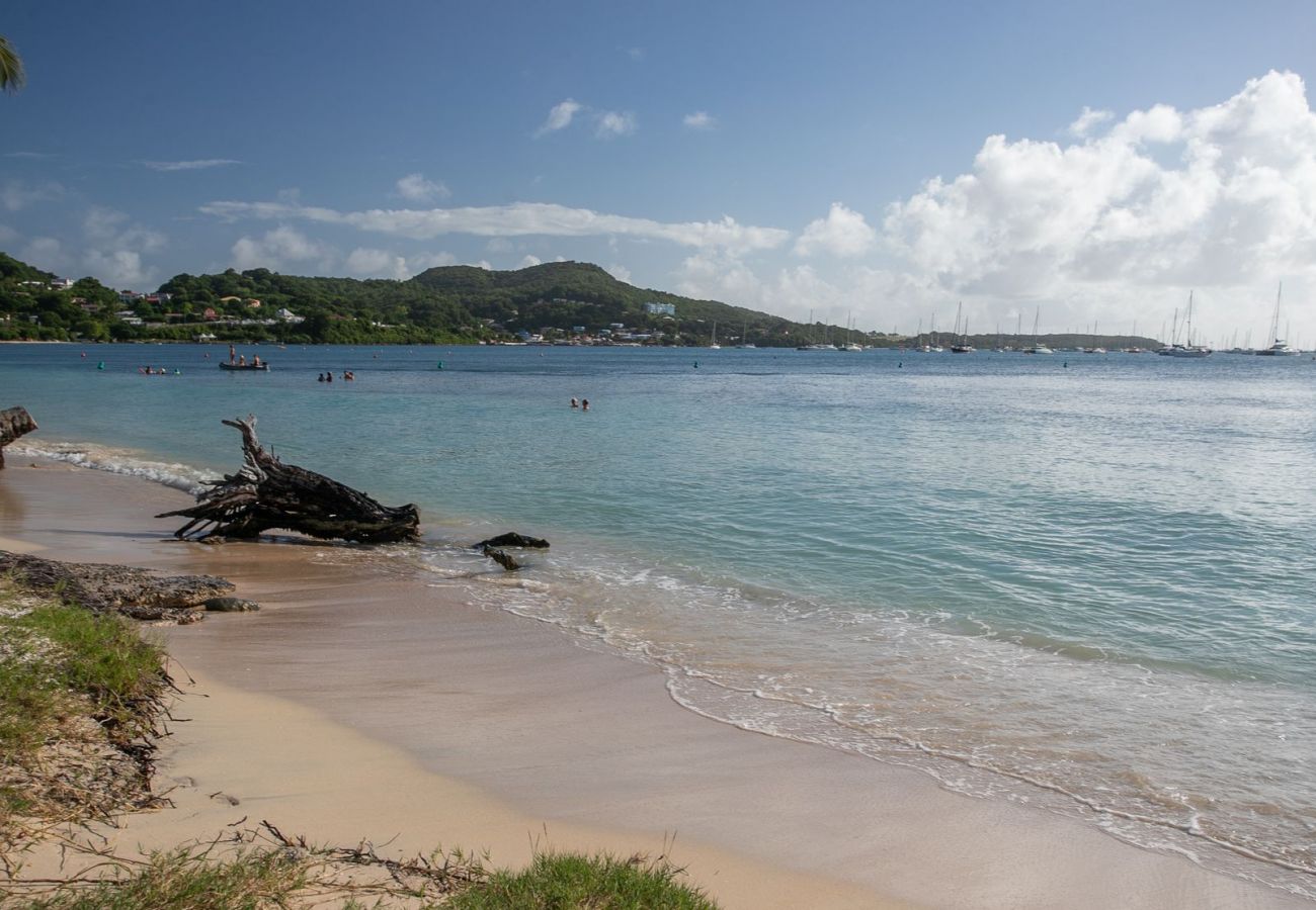 Townhouse in Sainte-Anne - Beachside Seahorse