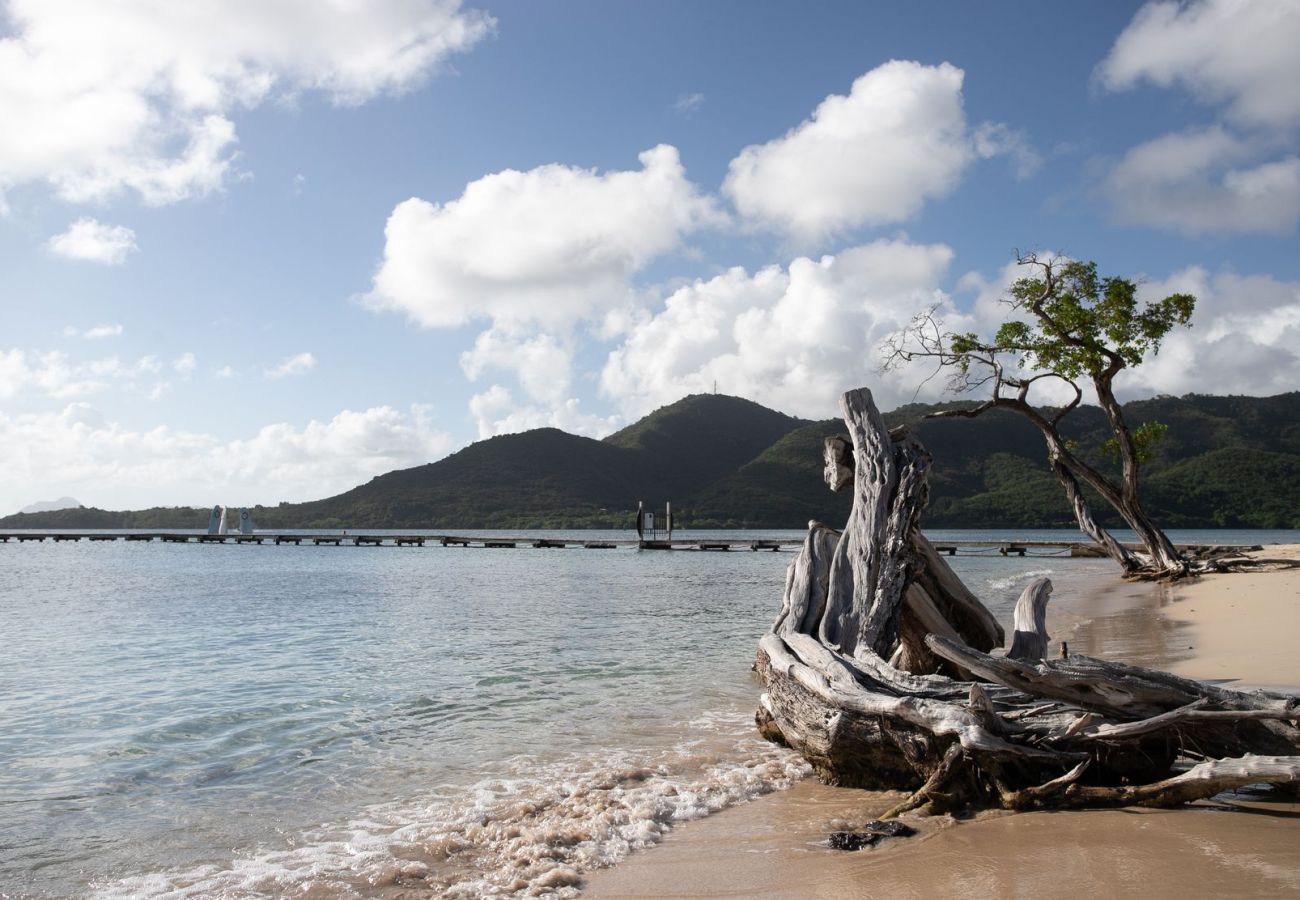 Townhouse in Sainte-Anne - Beachside Seahorse