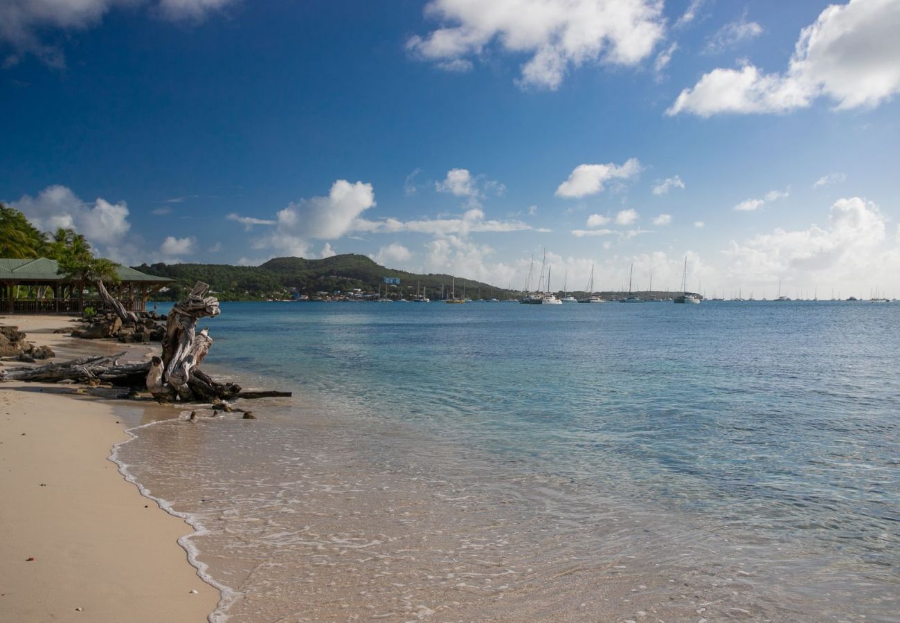 Townhouse in Sainte-Anne - Beachside Seahorse