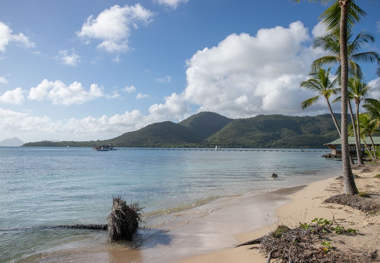 Townhouse in Sainte-Anne - Beachside Seahorse