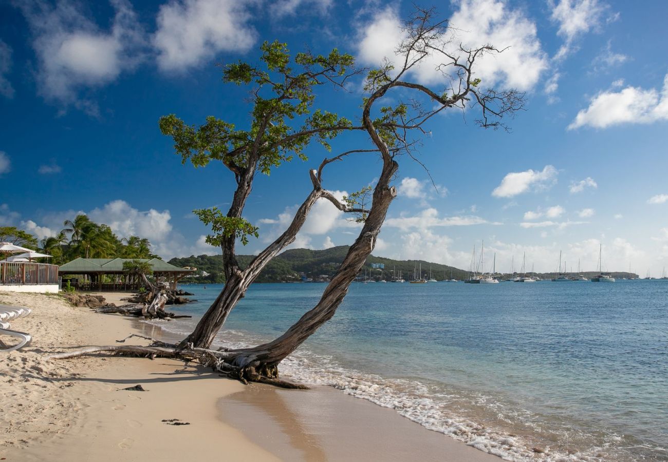 Townhouse in Sainte-Anne - Beachside Seahorse