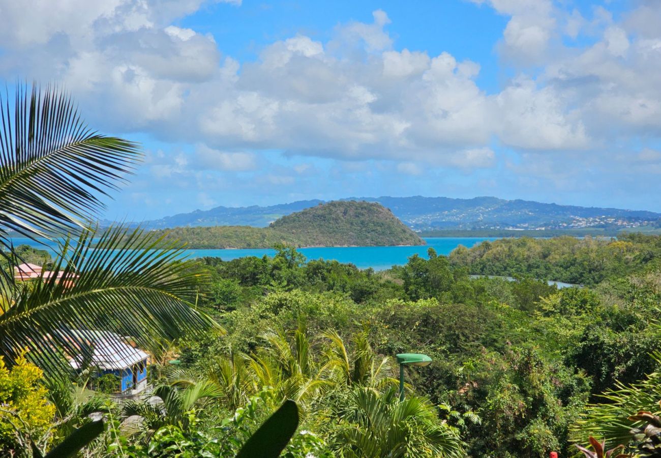 Villa in Les Trois-Ilets - Ty Natur