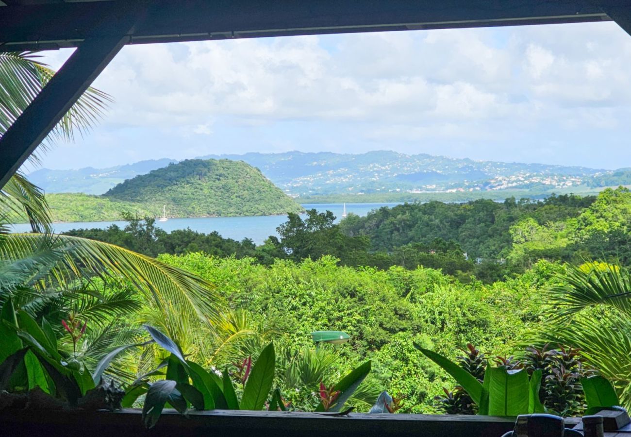 Villa in Les Trois-Ilets - Ty Natur