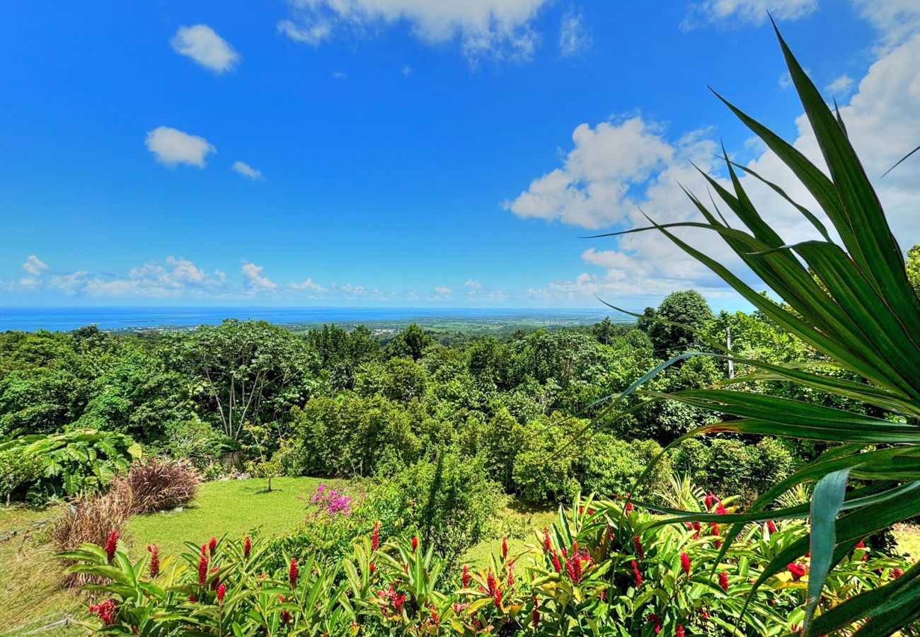 Villa in Sainte-Rose - Sofaia View