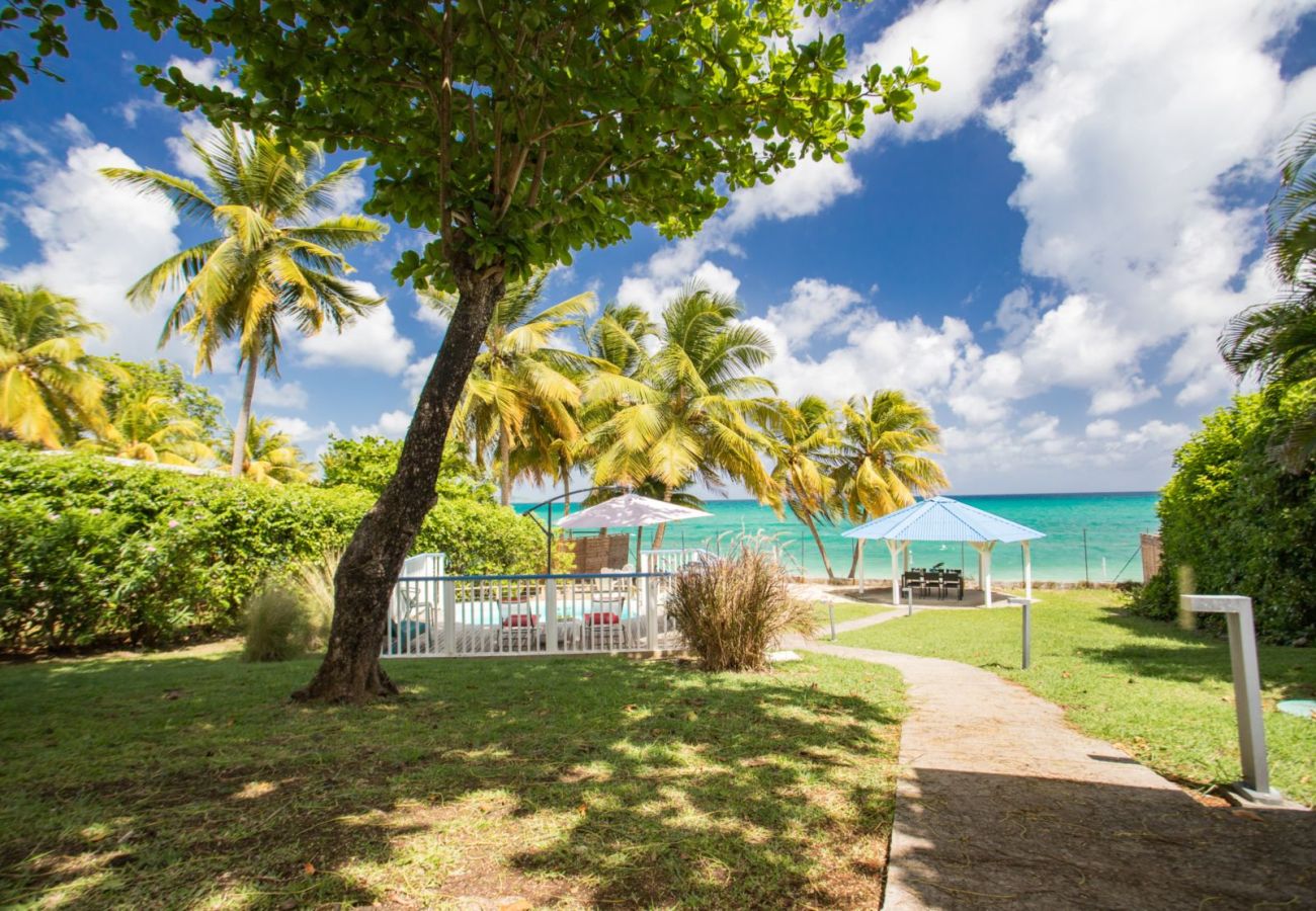 Villa in Sainte-Luce - Makata Blue