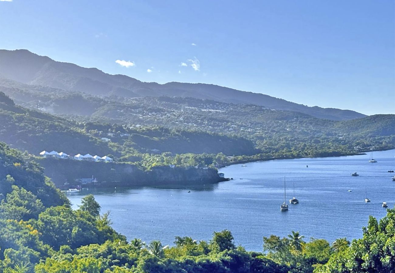 Villa in Bouillante - Malendure