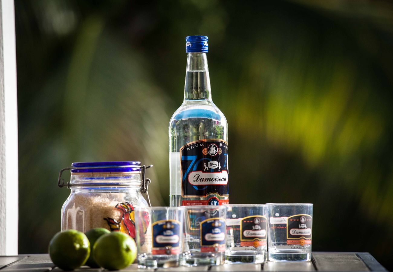 Villa à Saint-François - Avocatier