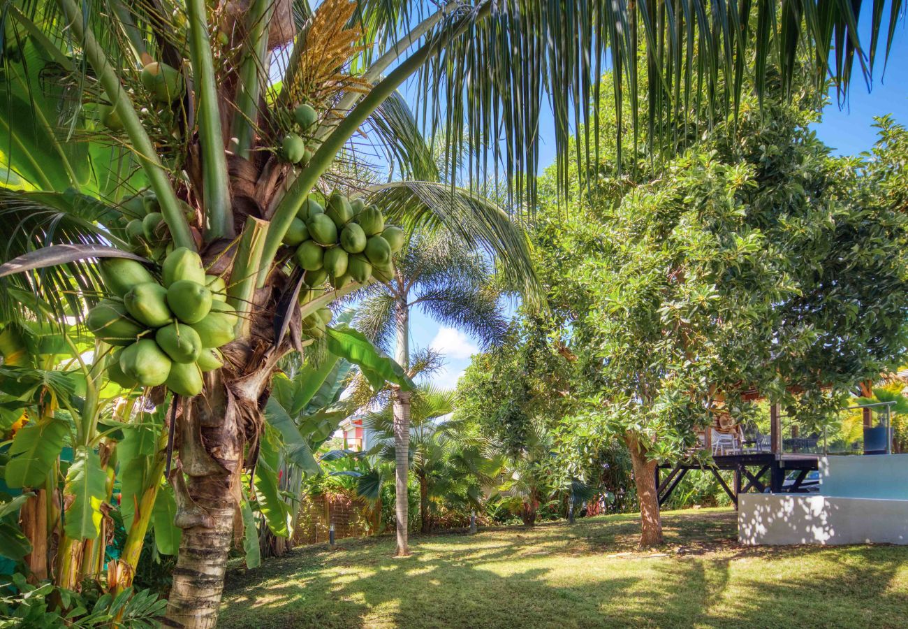 Villa à Saint-François - Avocatier