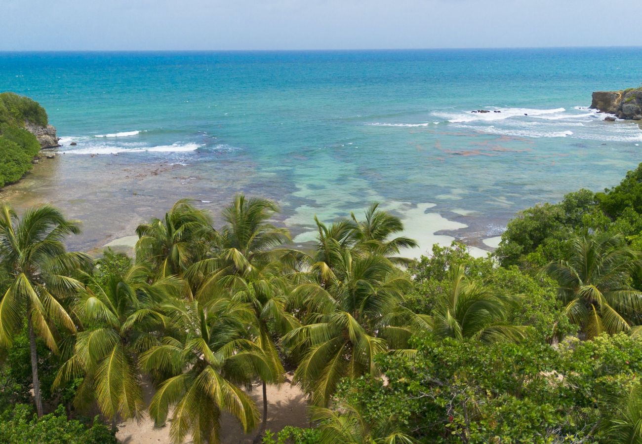 Villa à Le Gosier - Karukera