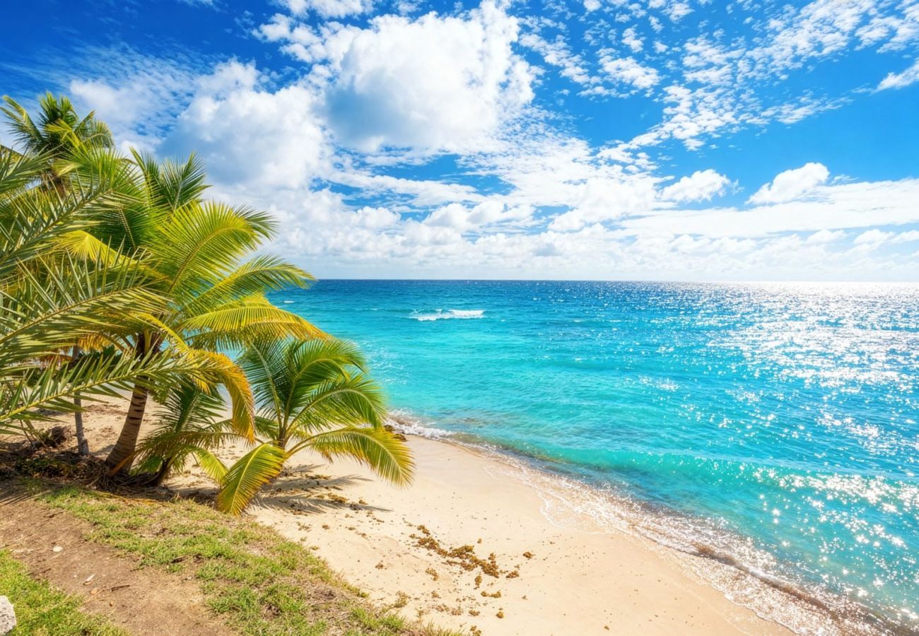 Villa à Sainte-Luce - Éole